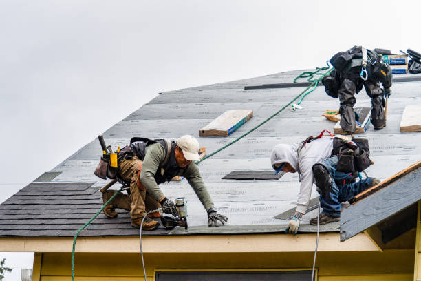 Professional Gutter Installation technician working in Clara City, MN